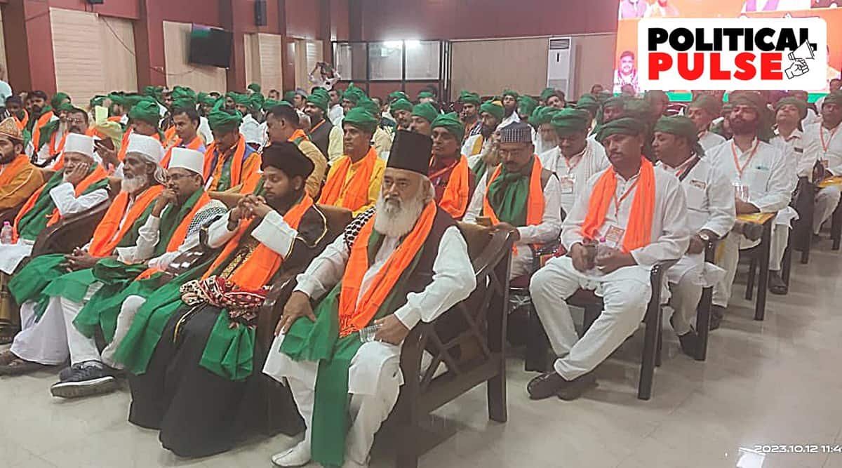 BJP’s Muslim outreach 2.0: After Pasmandas, party makes a play for Sufi support | Political Pulse News