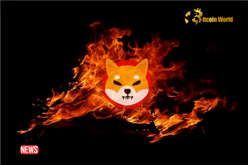 Shiba Inu ($SHIB) Burn Rate Surges Over 14,000% as Marketing Lead Unveils Future Plans