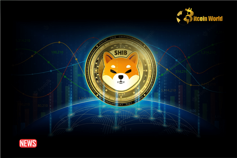 What Next For Shiba Inu (SHIB) Price as Whale Demand Weakens