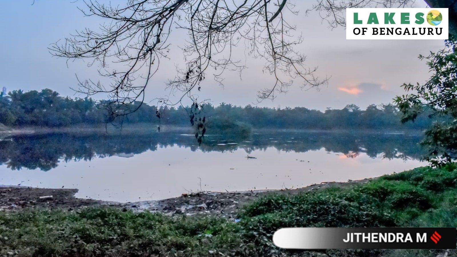 Lakes of Bengaluru: Andrahalli lake in ruins owing to entry of untreated sewage | Bangalore News