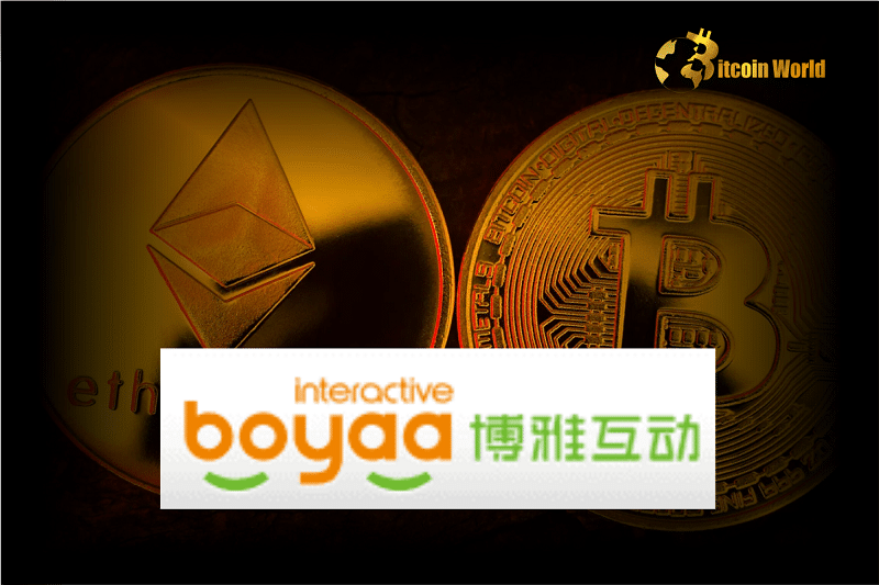 Chinese Company Announces Invest $100 Million Bitcoin Ethereum