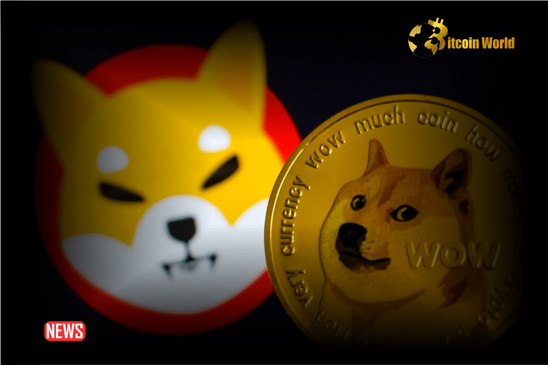 Dogecoin HODLERs Are Beating Shiba Inu 57% Landing Profits