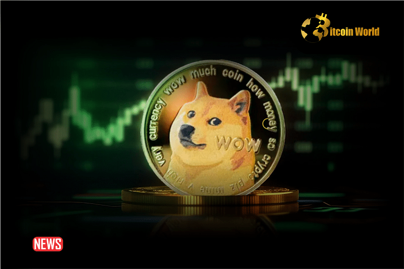 Dogecoin (DOGE) Soars 10% as It Targets Higher Increase