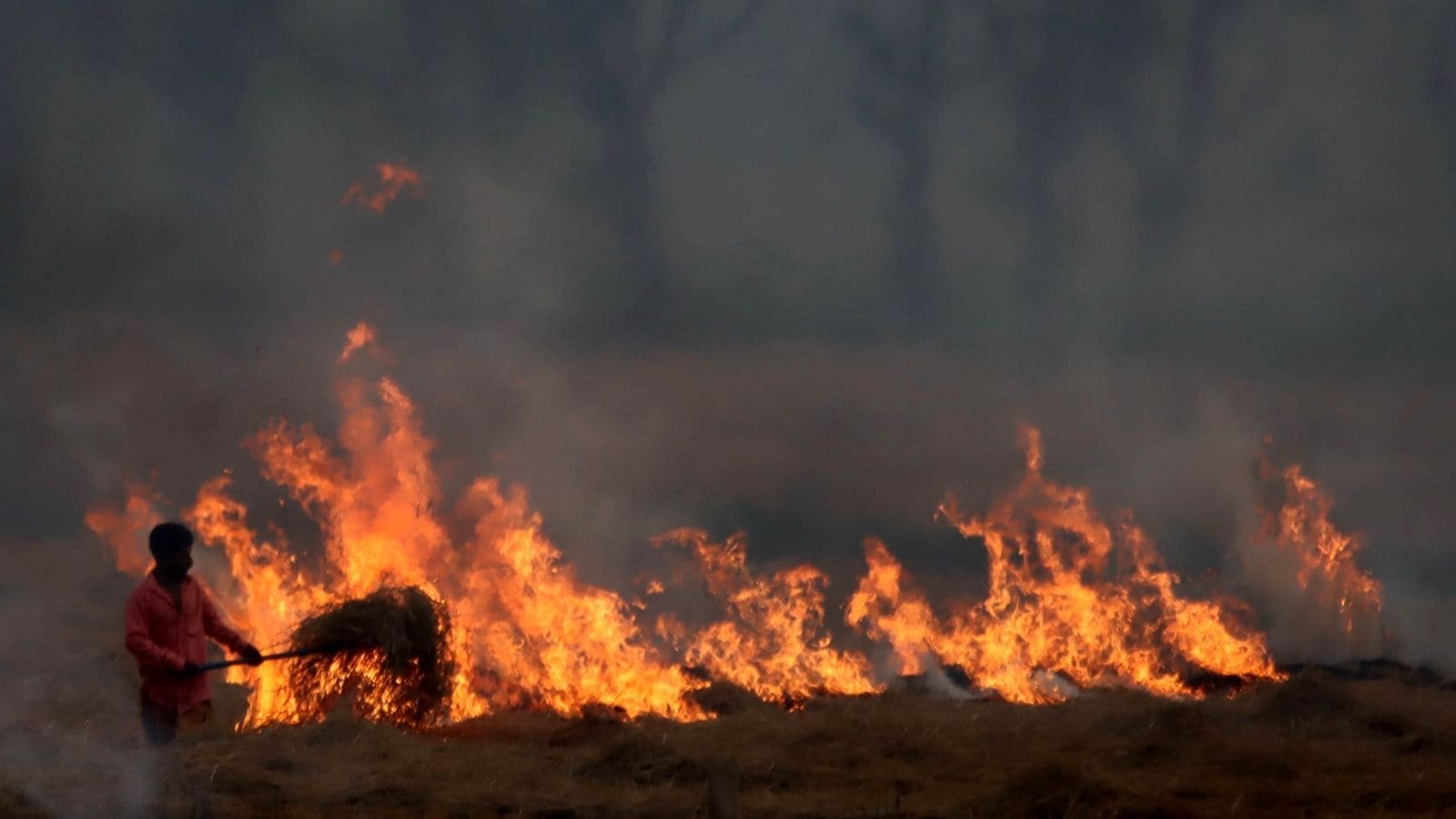 Post-SC rap, Punjab cracks down on errant farmers: In 24 hrs, farm fires drop by 68% | Chandigarh News