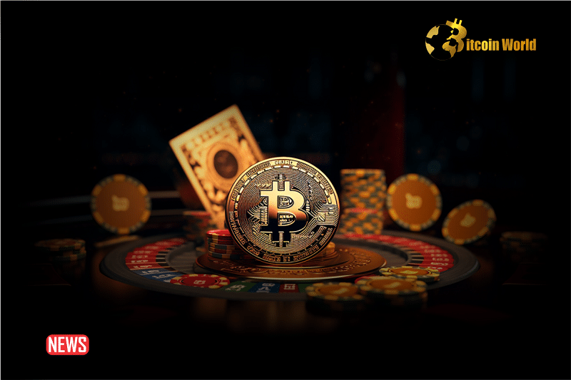 The Top 5 Bitcasino Alternatives To Consider In 2024