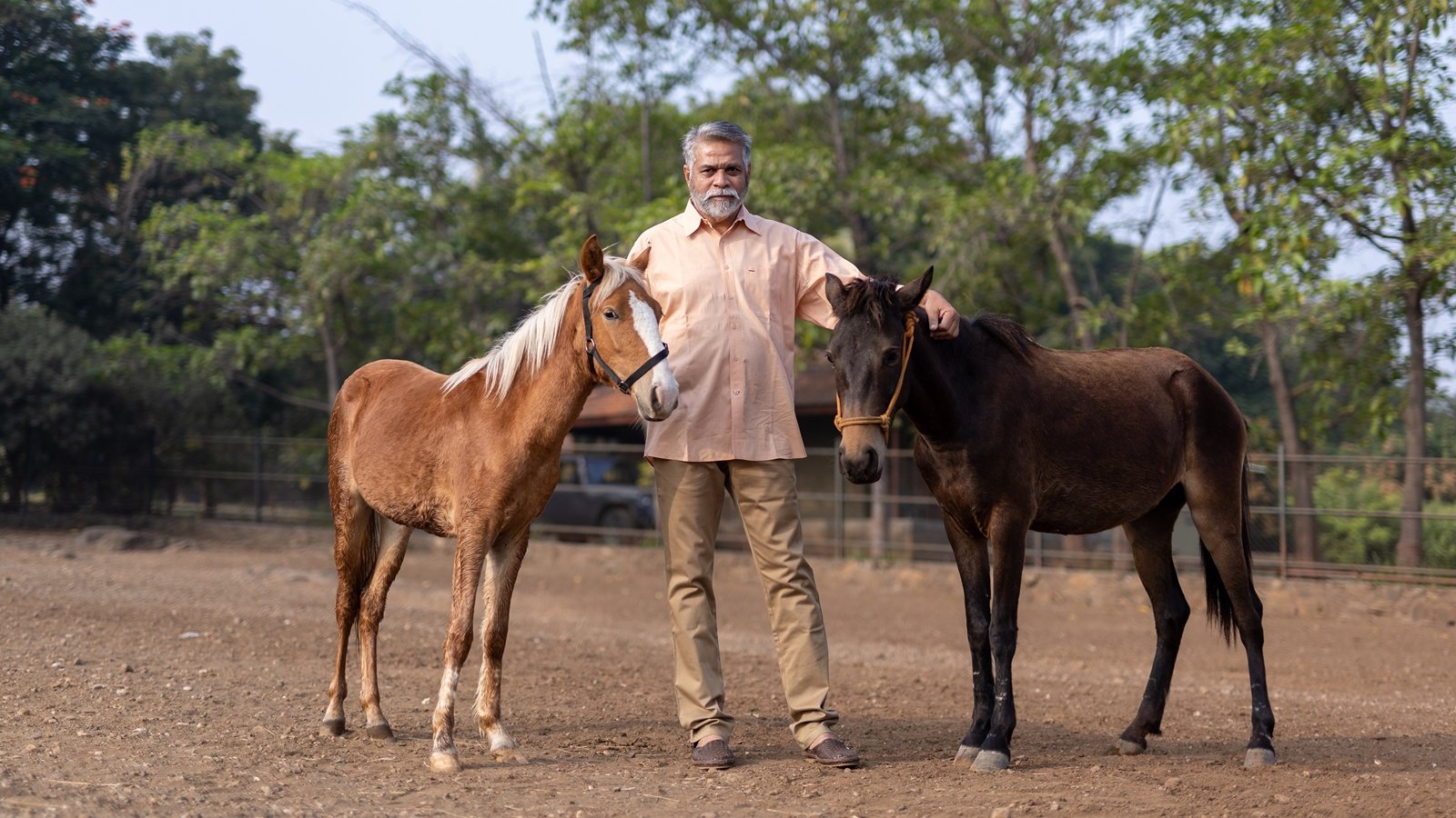 Bhimthadi horse gets officially recognised as independent breed | Pune News