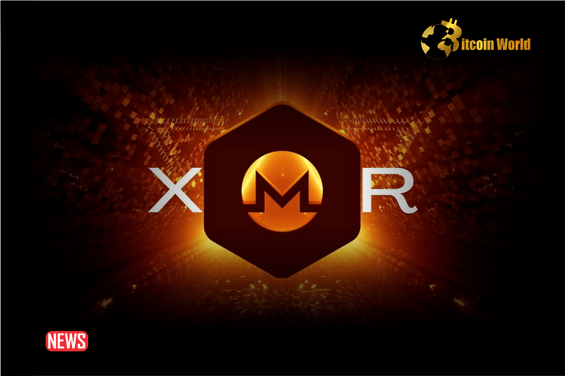 The Price of Monero (XMR) Rises More Than 3% In 24 hours