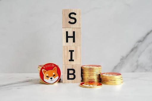 Why Shiba Inu Successor is the Investor’s Choice for Maximizing Returns in Feb 2024