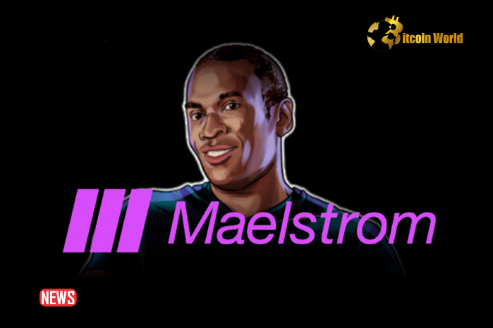 Arthur Hayes’ Maelstrom Fund Announced Bitcoin Grant Program Of Up To $250k Per Developer