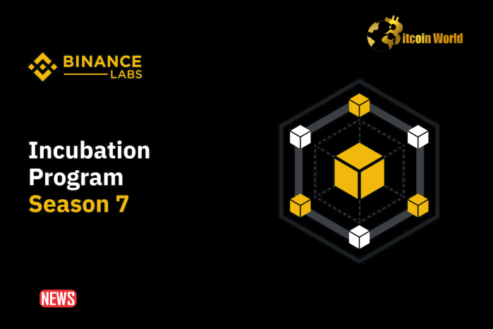 Binance Labs Season 7 Incubation Program Web3 Projects