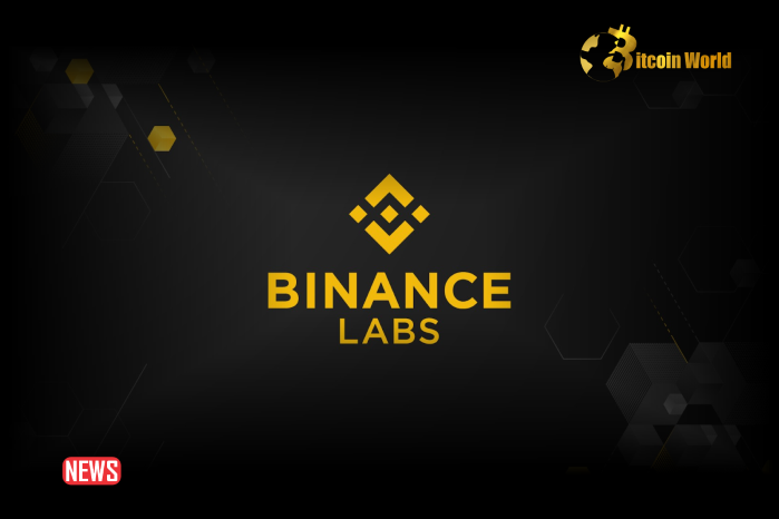 Binance Labs Investment Round GameFi Telegram Gaming Bot