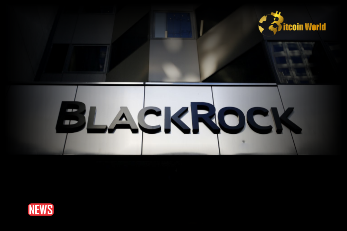 BlackRock Issues Warning Against Major Crypto Scams