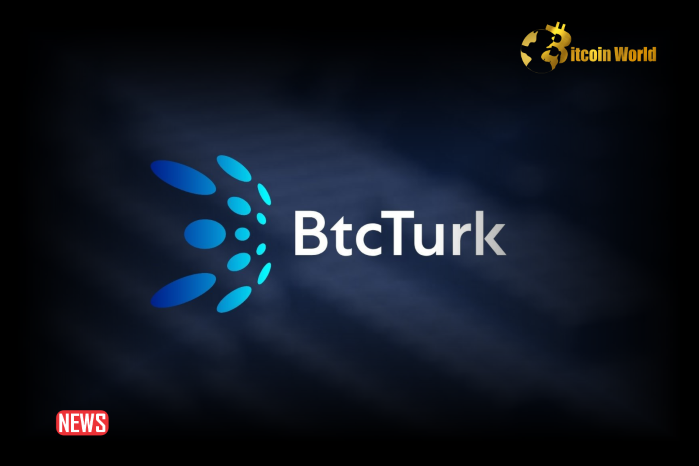 BtcTurk Crypto Exchange CEO, Ozgur Guneri, Steps Down