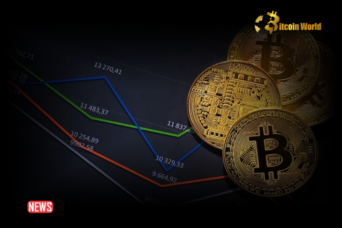 Crypto Market’s Winners And Losers HNT, JUP, NOT, BRETT