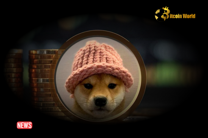 Solana’s Dogwifhat (WIF) Skyrockets 57%: Here’s Why – BitcoinWorld