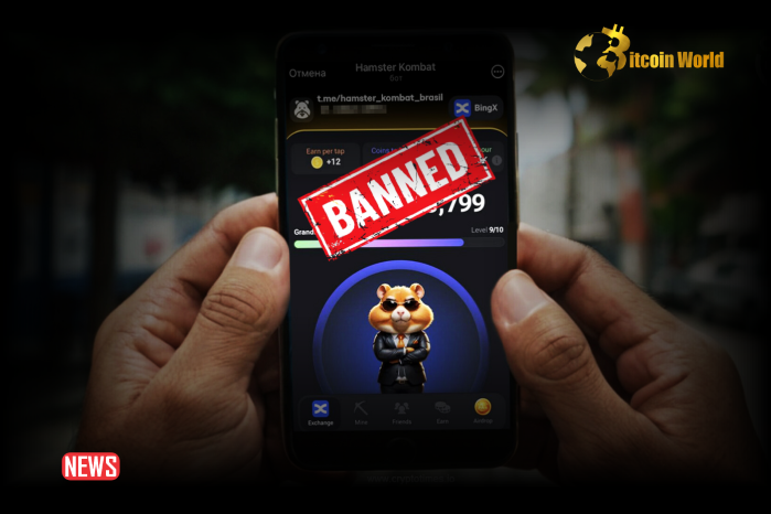 Chairman Anatoly Aksakov Hamster Kombat Scam Termination