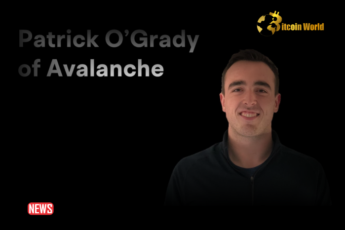 Patrick O’Grady, Ava Labs Engineering VP Leaving Team Company