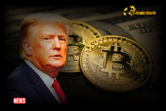 US Presidential Candidate Donald Trump Says US’s Competitor in Crypto is China! He Said He Will Release a New NFT! Here are the Details