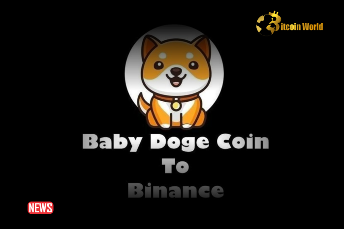 Should Baby Doge Get Listed On Binance?