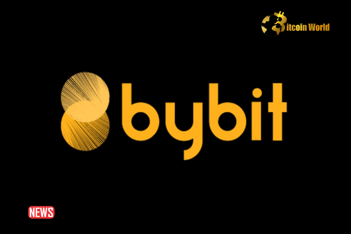 Bybit Registered Virtual Asset Services Provider (VASP) Argentina