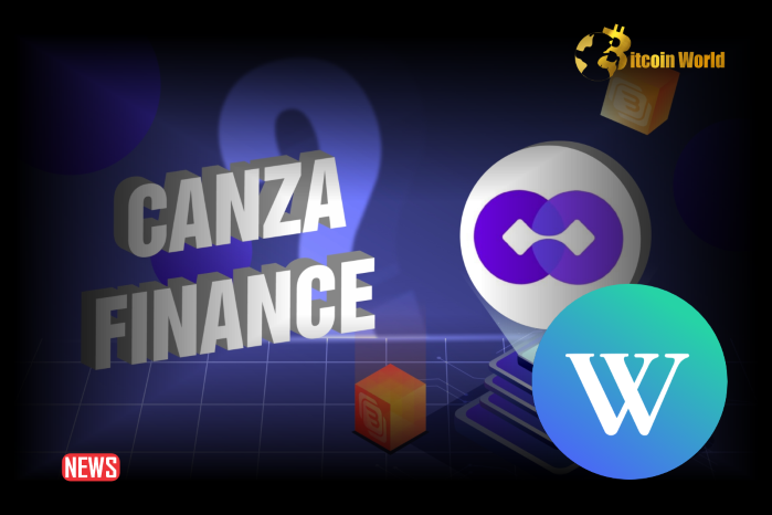 Canza Finance Stablecoin Issuer WSPN Financial Solutions Africa