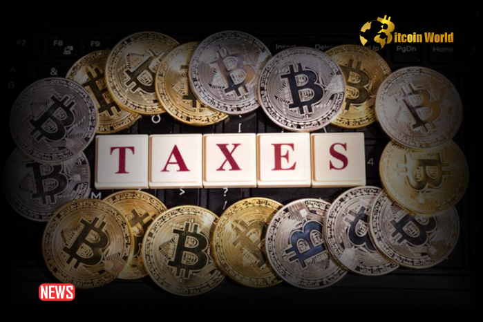 The IRS Simplifies The Income Tax Return – BitcoinWorld