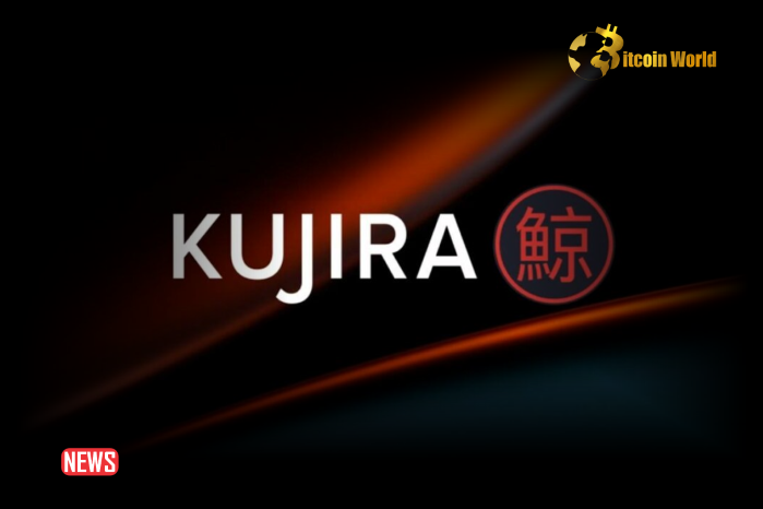 Kujira Token, KUJI, Drops 40% After The Foundation Gets Liquidated