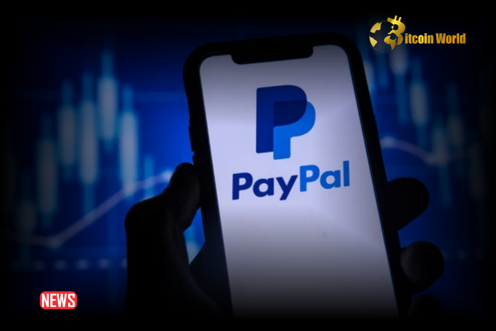 Paypal Launches Global Hackathon With 40,000 PYUSD in Prizes