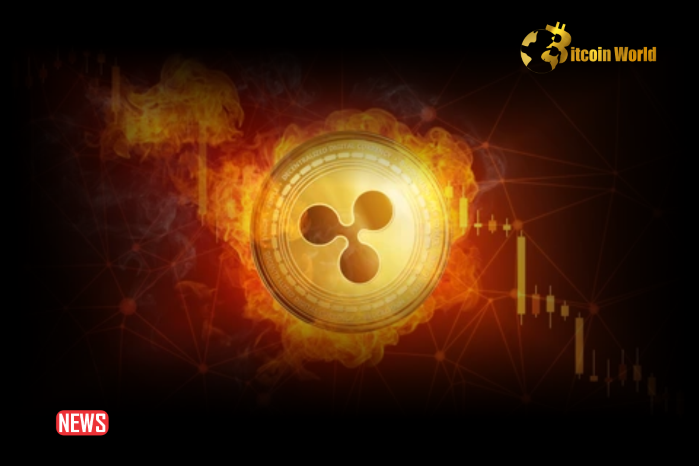 XRP Price Plunge As Ripple Locks Away 800 Million Tokens In Escrow