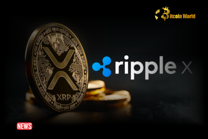 XRP Ledger (XRPL) Testnet Reset Goes Live On-Chain, What Comes Next? – BitcoinWorld