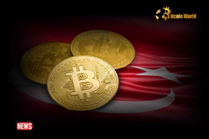 Crypto Craze Turkey License Applications Regulatory Changes