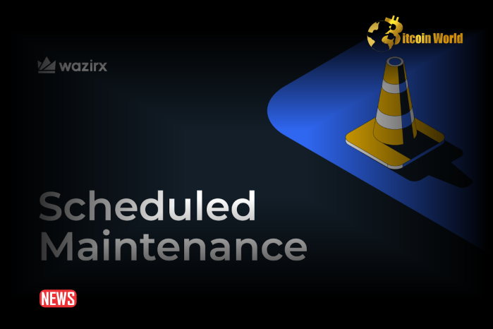 WazirX Completes Maintenance Trade Restores Users Balances