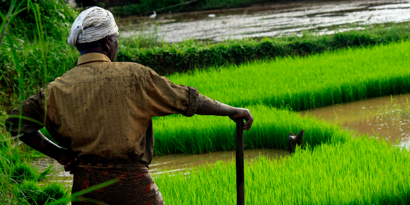 Centre okays Rs 14,000-cr outlay for 7 new schemes to boost farmers’ income