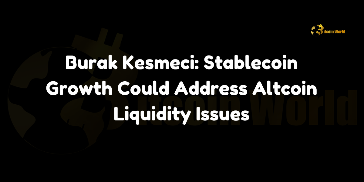 Burak Kesmeci: Stablecoin Growth Could Address Altcoin Liquidity Issues