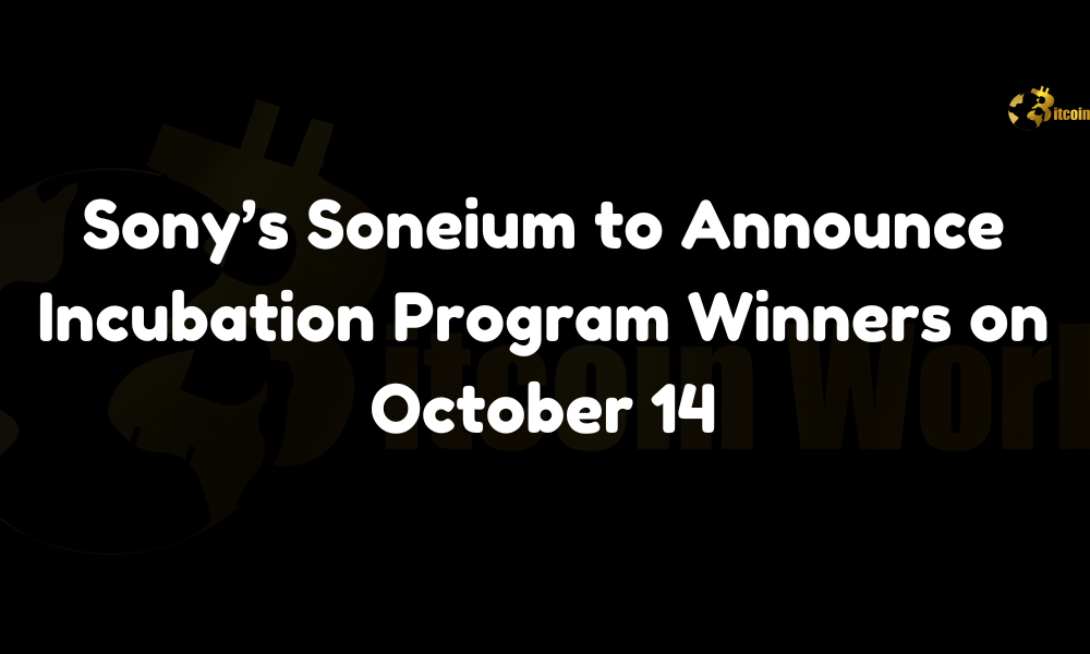 Sony Soneium incubation program winners