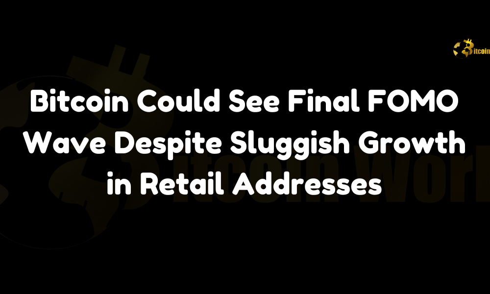 Bitcoin Could See Final FOMO Wave Despite Sluggish Growth in Retail Addresses