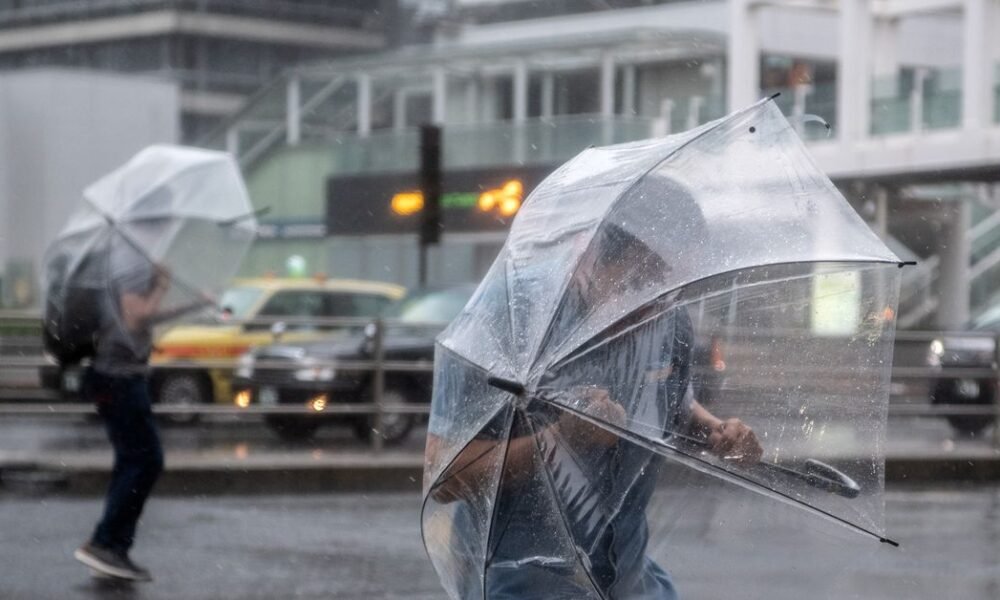 Google’s AI weather prediction model is pretty darn good