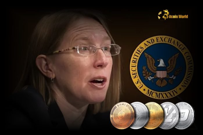 U.S. SEC Commissioner Hester Peirce Discusses Potential Shift in Crypto Policy