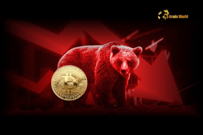 Analyst Warns of Potential Crypto Bear Market Amid Key Developments