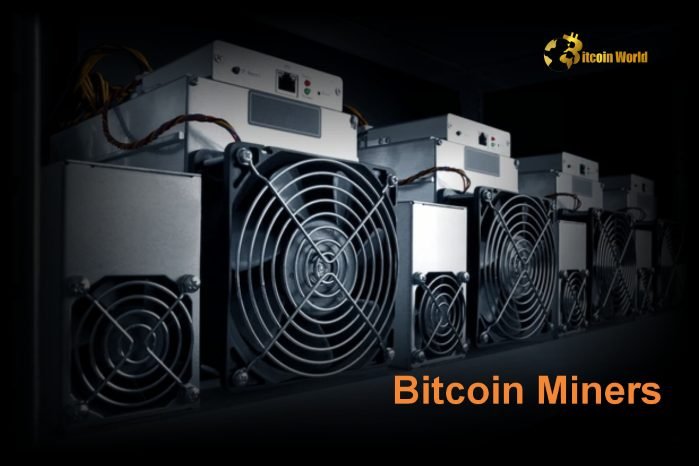 Bitcoin Miners Earn $1.41 Billion in December 2024, Highest Since April