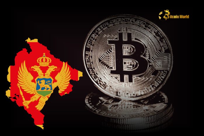 Montenegro Opens Doors to Crypto Entrepreneurs with Zero Tolerance for Fraud