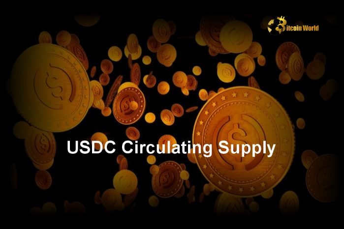 USDC Circulating Supply Surges 80% Amid Rising On-Chain Activity