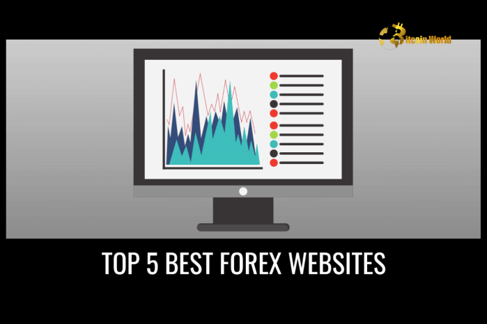 Top Forex Websites for Traders: Best Platforms for Forex News, Analysis & Trading