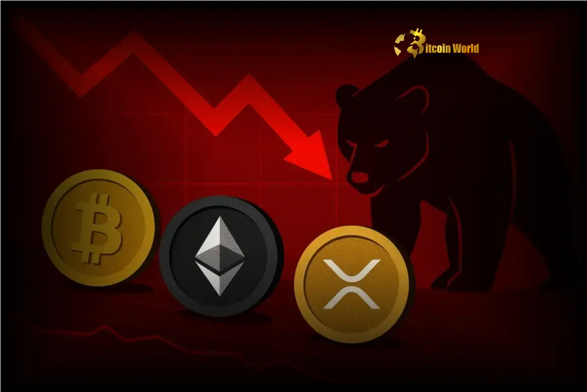 Dire Warning: Coinbase Report Signals Prolonged Crypto Market Downtrend