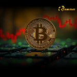 Bitcoin Price: Crucial Support Levels Emerge Amid Consolidation