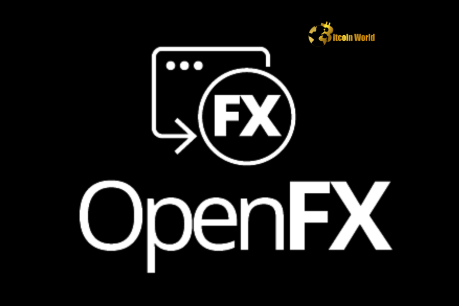 OpenFX Secures $23M to Power Stablecoin Conversion for Global Payments