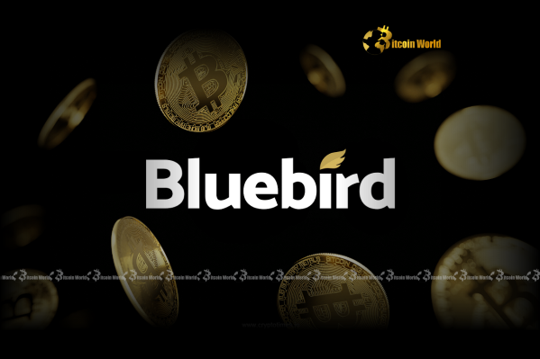 Bluebird Mining’s Revolutionary $1.36M Bitcoin Investment Signals Bold New Era