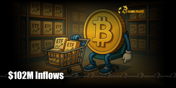 Bitcoin ETFs: Remarkable $102M Inflows Signal Strong Investor Confidence