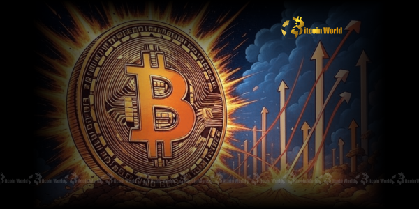 Bitcoin’s Curious Climb: Unpacking $920M Weekly Outflows