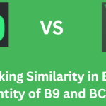 Fake Interface, Real Losses: How B9.GAME Deceives Its Users